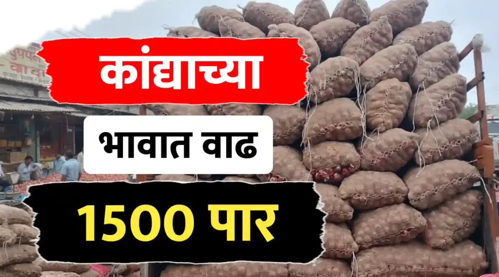 Onion rate today ; कांदा भावात बदल, पहा आजचे ताजे कांदा भाव