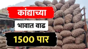 Onion rate today ; कांदा भावात बदल, पहा आजचे ताजे कांदा भाव